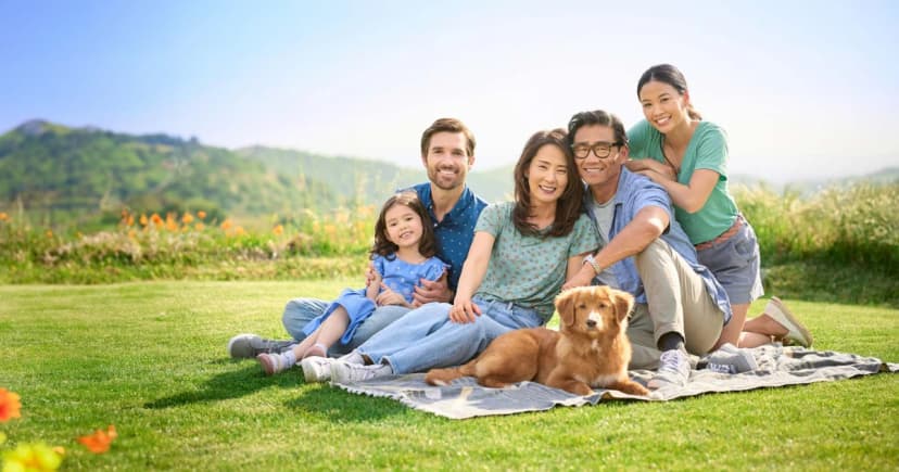CareCredit