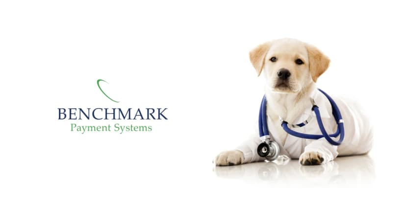 Benchmark Payments Systems