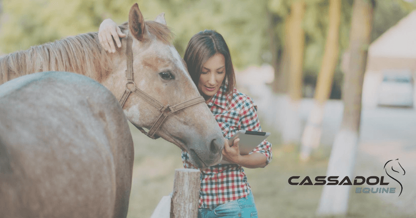 Cassadol Equine