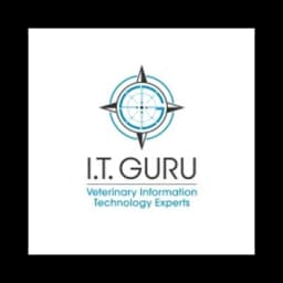 I.T. Guru logo